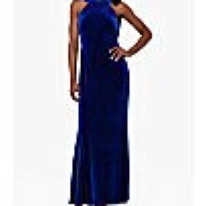 Betsy & Adam Royal Blue Velvet Maxi Dress